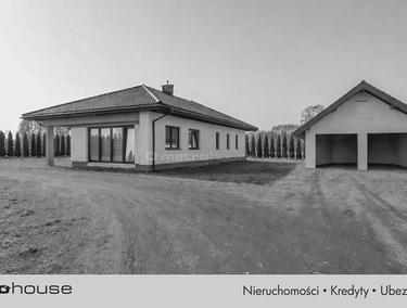 Zdjęcie 15639228