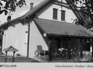 Zdjęcie 15640138