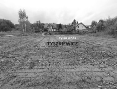 Zdjęcie 15641094