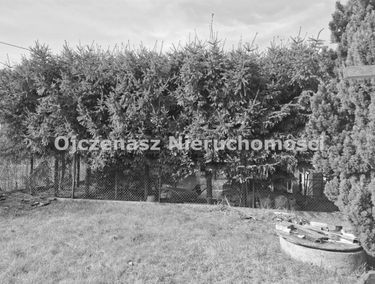 Zdjęcie 15641981