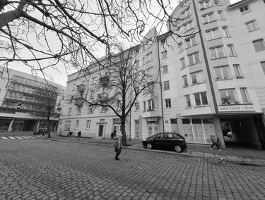 Zdjęcie 15643415