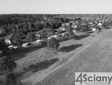Zdjęcie 15643474