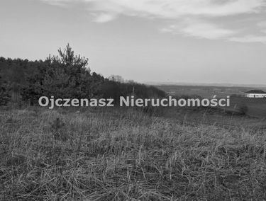 Zdjęcie 15644085