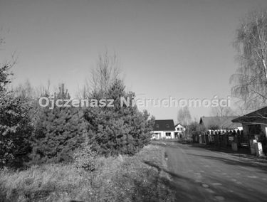 Zdjęcie 15645044