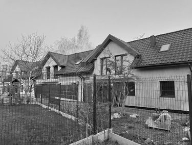 Zdjęcie 15645160