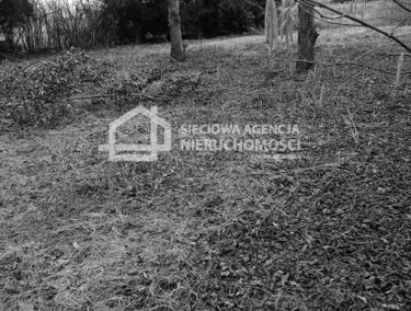 Zdjęcie 15645525