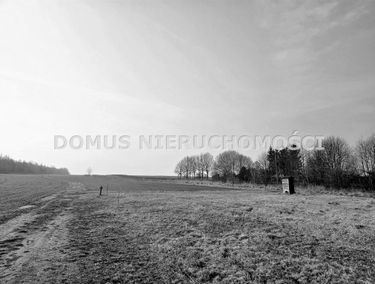 Zdjęcie 15645834