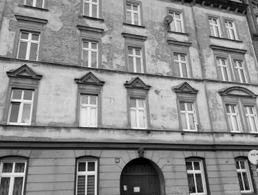 Zdjęcie 15646416