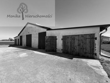 Zdjęcie 15646420
