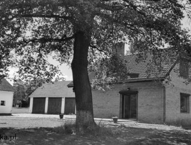 Zdjęcie 15646578