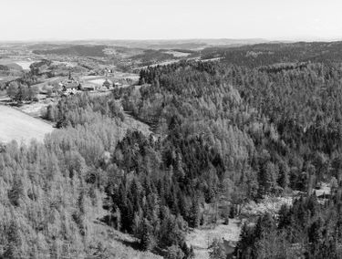 Zdjęcie 15646871
