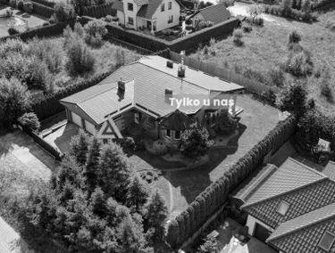 Zdjęcie 15647899