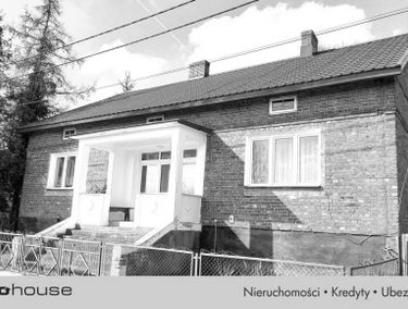 Zdjęcie 15647974