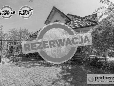 Zdjęcie 15648216