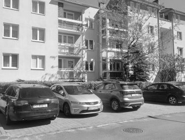 Zdjęcie 15648444