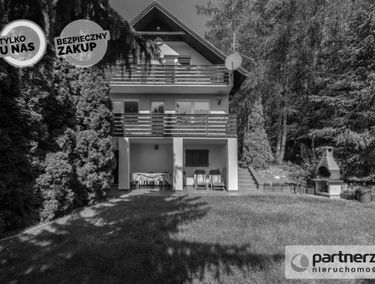 Zdjęcie 15648495