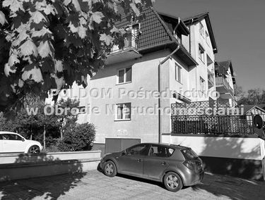 Zdjęcie 15648581