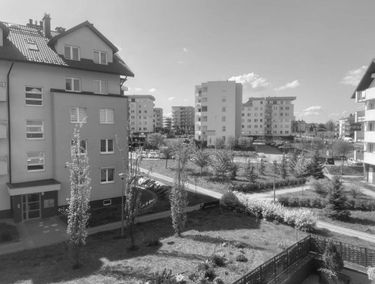 Zdjęcie 15650005