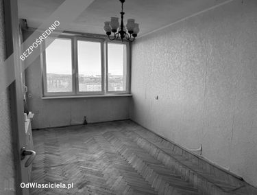 Zdjęcie 15650095