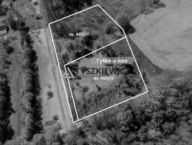 Zdjęcie 15650300