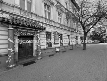 Zdjęcie 15651019