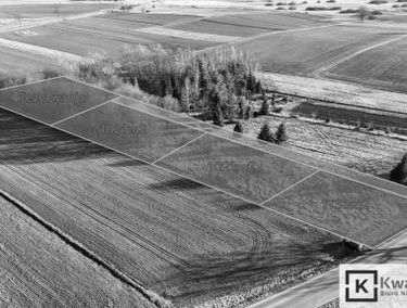 Zdjęcie 15651431