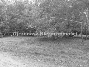 Zdjęcie 15651666