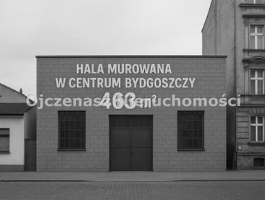Zdjęcie 15655467