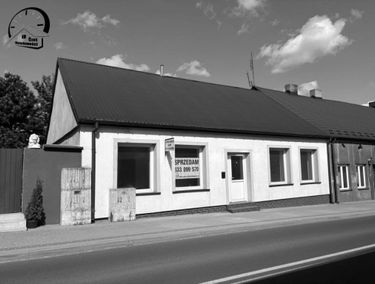 Zdjęcie 15655469