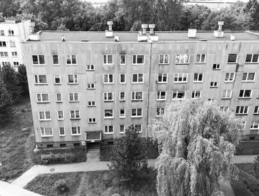 Zdjęcie 15657043