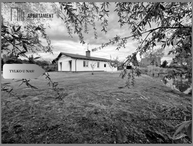 Zdjęcie 15657993