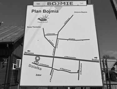 Zdjęcie 15658822