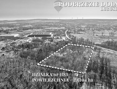 Zdjęcie 15659041