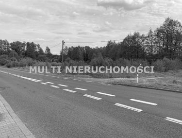 Zdjęcie 15660081