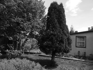 Zdjęcie 15660196