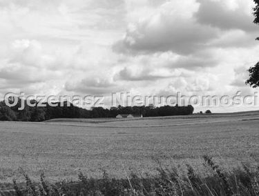 Zdjęcie 15660219