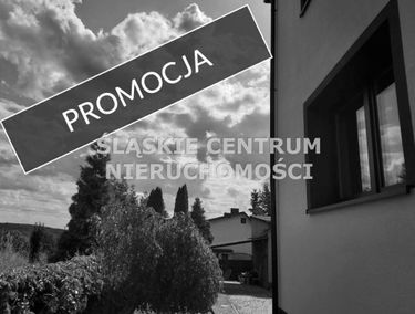 Zdjęcie 15660308