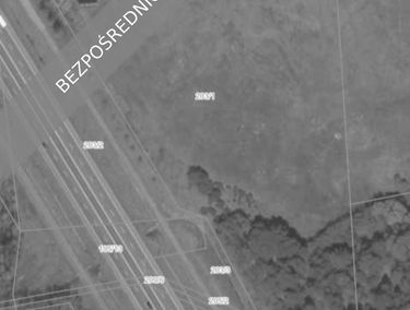 Zdjęcie 15661352