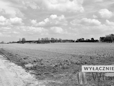 Zdjęcie 15661986