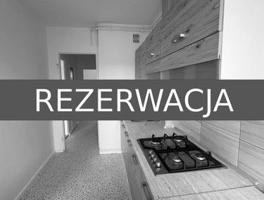 Zdjęcie 15662185