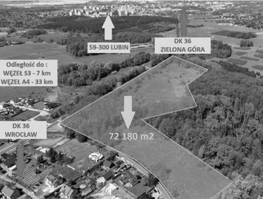 Zdjęcie 15662696
