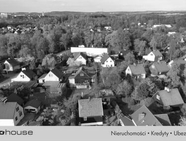 Zdjęcie 15663003