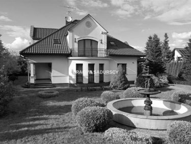 Zdjęcie 15663378