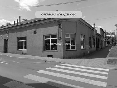 Zdjęcie 15663394