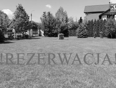 Zdjęcie 15663750