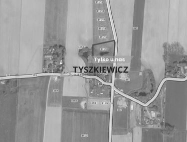 Zdjęcie 15664766