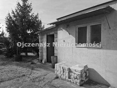 Zdjęcie 15665197