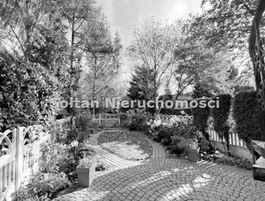 Zdjęcie 15665211