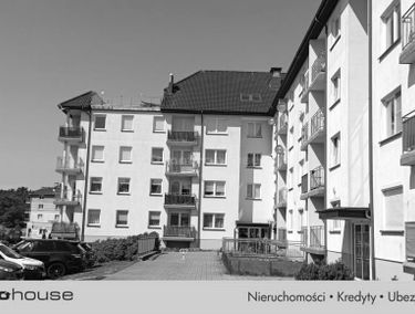 Zdjęcie 15666118
