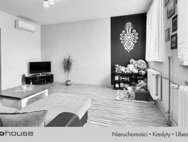 Zdjęcie 15666168